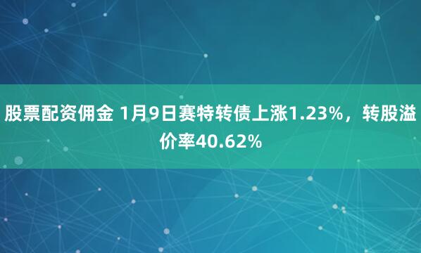 股票配资佣金 1月9日赛特转债上涨1.23%，转股溢价率40.62%